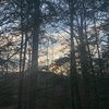lacisheddan21